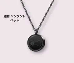 Item thumbnail for item da7423b4-a62e-4df7-ab71-2405be9ba9e9
