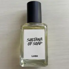 2025年最新】スノータフィー lushの人気アイテム - メルカリ