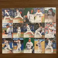 BBM 2023 1st 東京ヤクルトスワローズ 31枚レギュラーコンプセット