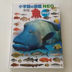 小学校の図鑑 NEO 新版 魚 DVD付き