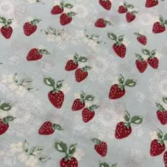 生地　♡ルシアン♡ストロベリー♡レア