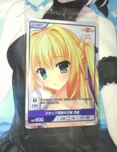 アリアズカーニバル ディヴァインクロス Dカップ深窓の才媛 月詠　PR プロモ