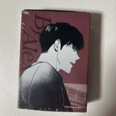 韓国BL ステッカーセットBJアレクスALEX 未開封mingwa