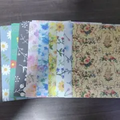 Item thumbnail for item c0ac975c-0b3f-47e8-acd9-bb788bb028c7