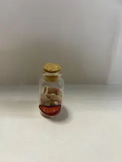 貝殻と赤い砂のミニチュア瓶♡