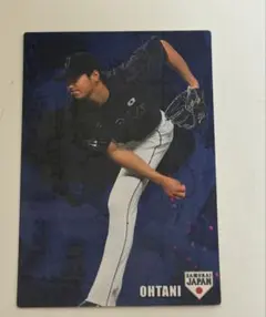 大谷翔平 2016 カルビー トレーディングカード
