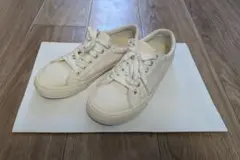 Item thumbnail for item 7a57c7fd-fcbc-44f7-a8ca-2221e58672ae