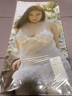 Item thumbnail for item 36361dba-3977-4de9-b2d2-1c915ef9a798