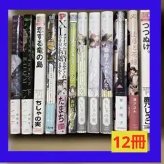 BLコミック　まとめ売り　12冊