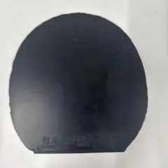 省チーム用キョウヒョウNEO3 41°