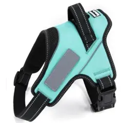 Item thumbnail for item 7c9a2fc7-f1b2-4324-97c2-fbc03a913394