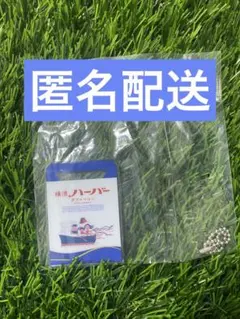 横濱ハーバー 横浜愛ガチャ
