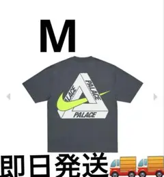 Item thumbnail for item ae9cee93-f7ef-47ed-9a1a-a2136a9e36c6