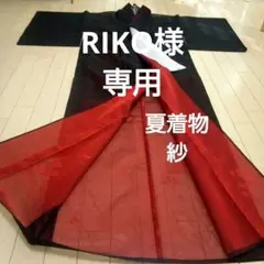 夏の着物 紗