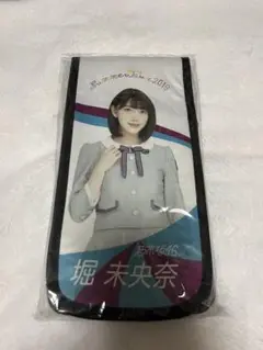 乃木坂46 堀未央奈 ペンライトケース 真夏の全国ツアー2019