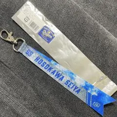 ドラゴンズ　ボンフィン　細川成也