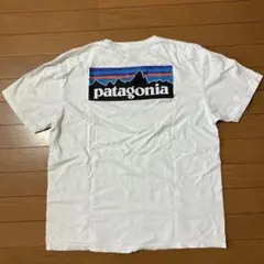 patagonia Tシャツ レスポンシビリティ　ホワイト　Ｌサイズ