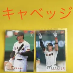 キャベッジ 2枚セット カード