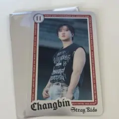 straykids domin ATE ライブフォトカードランダム　チャンビン