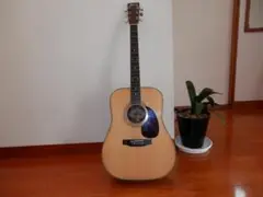 弦交換Morris W-30 ギター ハードケース付 シェルロゴ 装飾バインディ Accessories | MORRIS GUITARS