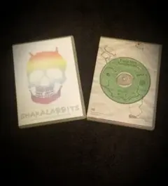 SHAKALABBITS　LIVE DVD 2枚