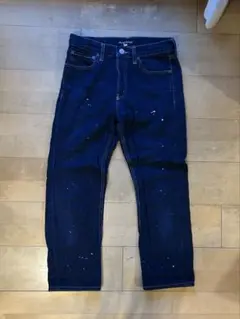 mizuiroind ジーパン