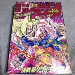 週刊少年ジャンプ 1991年 21.22合併号 ドラゴンボール表紙 当時