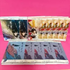 精霊の守り人 シーズン1+2+最終章 DVD 全12巻セット レンタル