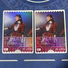 ラブライブカードゲーム　園田海未　三森すずこ　PE ２枚セット