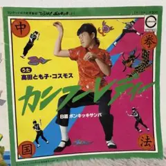 レア⭐️カンフーレディ ポンキッキサンバ ひらけポンキッキ