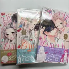 スーパーブランドの白川さん 全3巻セット