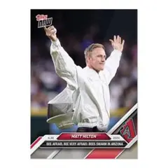 【レア】 Hilton マットヒルトン BEE TOPPS NOW 145 2枚
