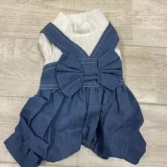 Item thumbnail for item f0808568-ba07-4134-9433-2069d699bc87