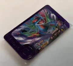 ポケモン　フレンダ　ボーマンダ　スーパートレジャー