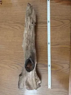 Item thumbnail for item 871c210d-49e3-4fcf-8f98-f50cc216dff4