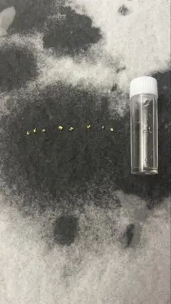 超大粒！20粒　砂金　佐渡金山　ゴールドパーク…大幅値引き中 超大粒！20粒 砂金 佐渡金山 ゴールドパーク…大幅値引き中 美術