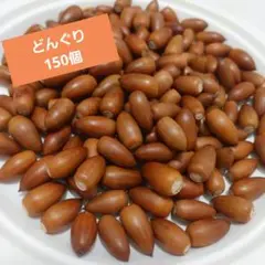 Item thumbnail for item 94e4be61-075d-41d0-8225-06cfdc5cfc31