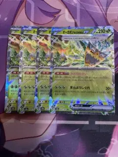 オーガポン　みどりのめんex 4枚