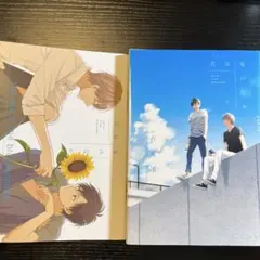 君は夏のなか　初回限定版