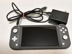 Nintendo Switch Lite グレー