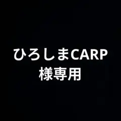 【廃盤希少】IWGP インターコンチベルトストラップ、中邑真輔COBE COBE 2025年最新】IWGPインターコンチネンタルチャンピオンベルトの