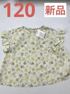 Item thumbnail for item b86e24e1-22a5-4881-9845-9a72d901f28e