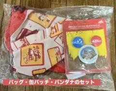 JAL 東京ディズニーリゾート オリジナルワンショルダーバッグ・缶バッジセット