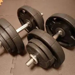 アイロテック ダンベル 20kg 2個 合計40kg【手渡し】