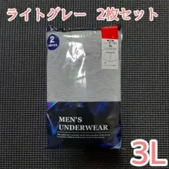 ニットトランクス パンツ アンダーウェア 下着 前開き ライトグレー 2枚 3L
