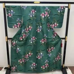 浴衣 裄66 菖蒲 可愛い緑 着物 木綿 RK-5610x