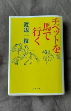 チベットを馬で行く　渡辺一枝