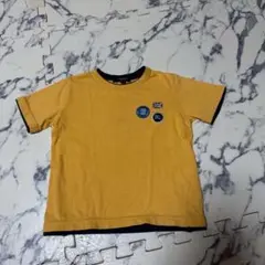 バーバリー　Tシャツ