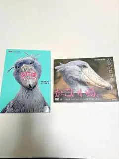 ハシビロコウ写真集「ハシビロコウ」「ふたばPHOTOBOOK」2冊セット