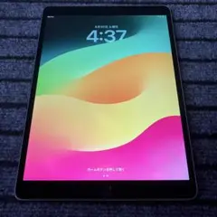122【早い者勝ち】 iPad Pro 10.5 256GB スペースグレイ